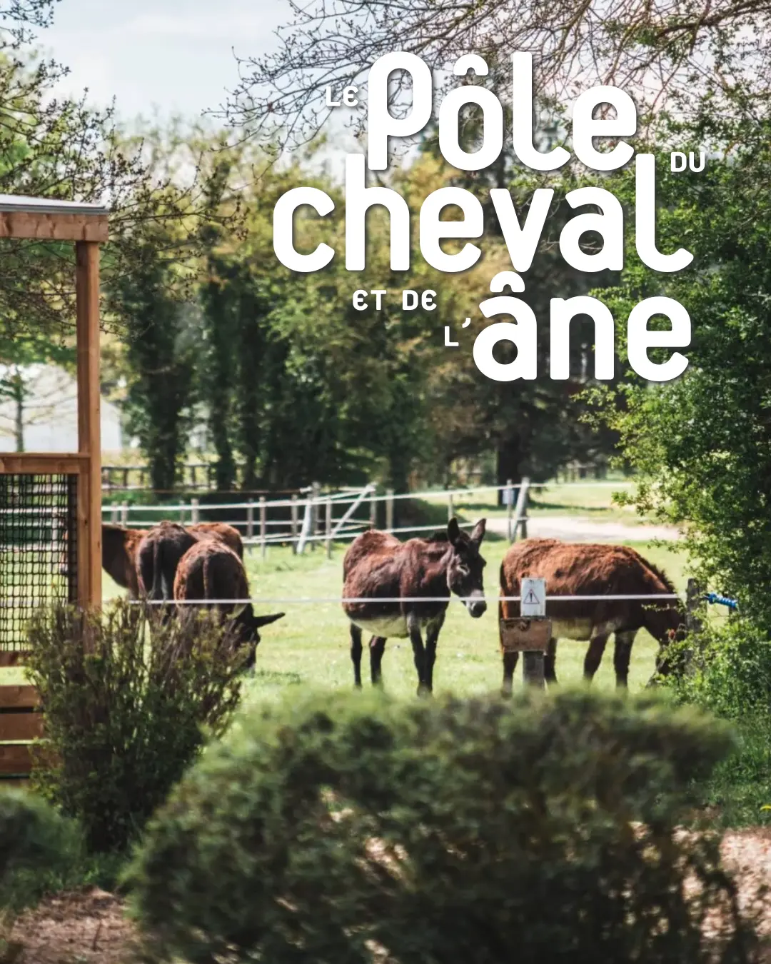 Le Pôle du Cheval et de l’Âne